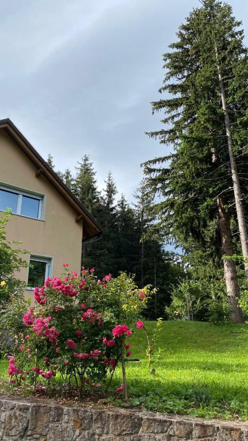 Apartmaji Velikonja Ajdovščina 외부 사진
