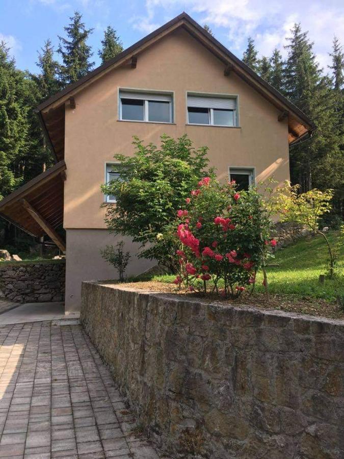 Apartmaji Velikonja Ajdovščina 외부 사진
