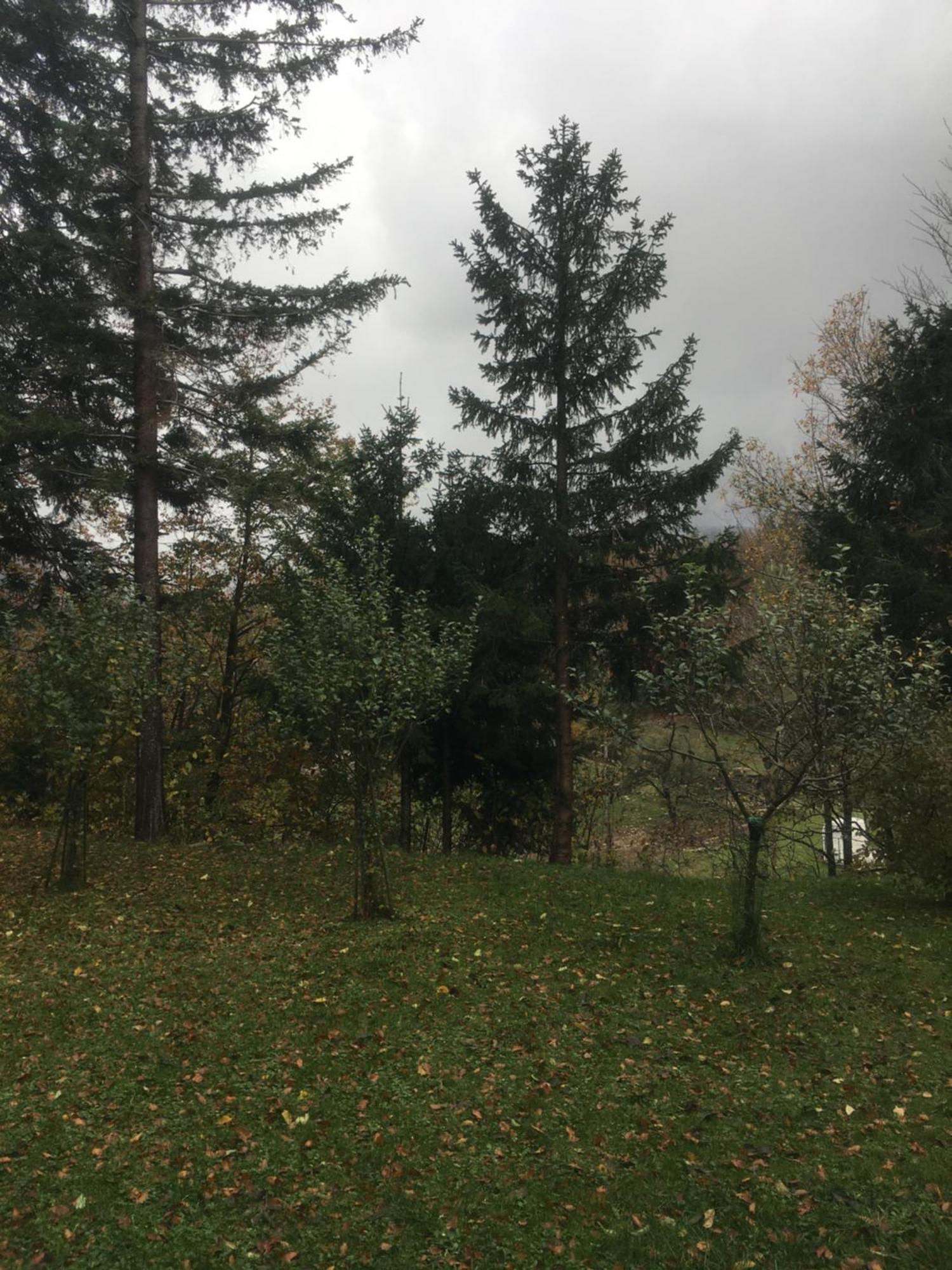 Apartmaji Velikonja Ajdovščina 외부 사진