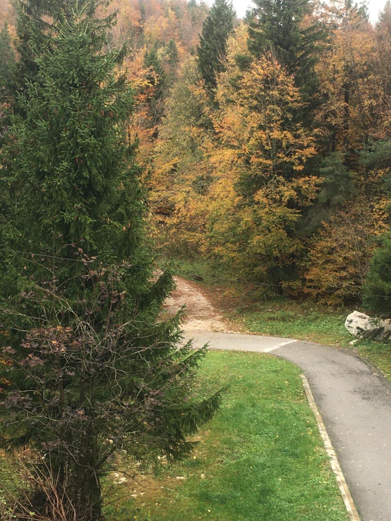 Apartmaji Velikonja Ajdovščina 외부 사진
